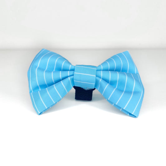Blue Sherbet Bow